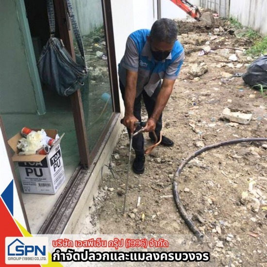 รับฉีดปลวก