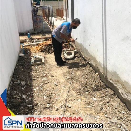 อัดน้ำยากำจัดปลวก