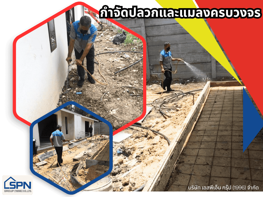 กำจัดปลวกและแมลงครบวงจร