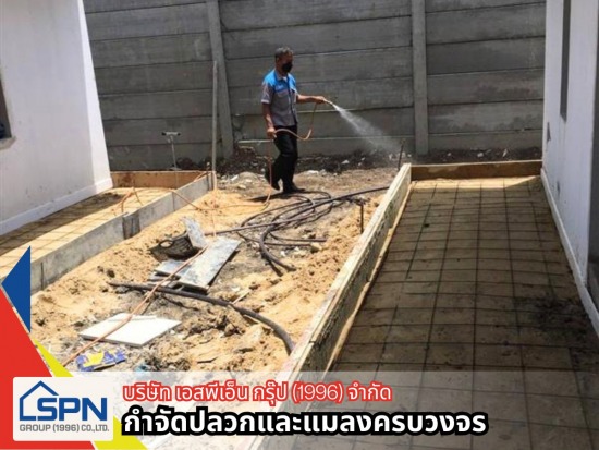 รับฉีดกำจัดปลวก