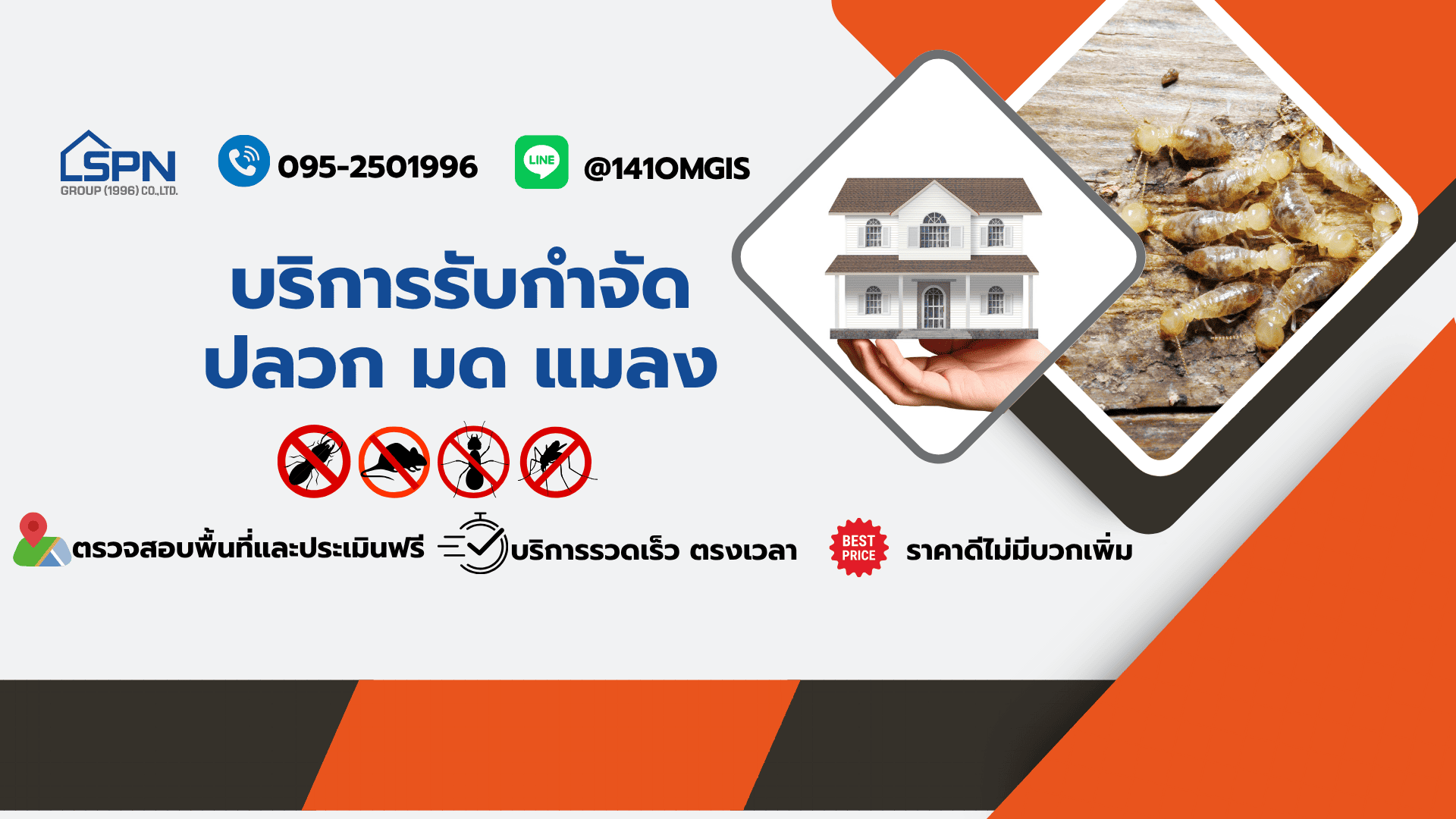 รับกำจัดแมลง ราคา