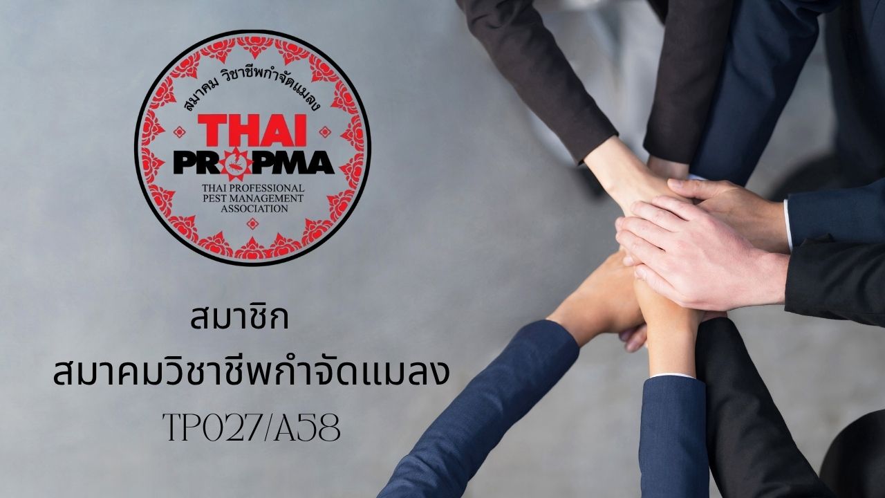 รับกำจัดปลวก ราคา